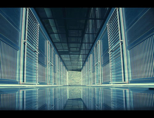 信必優 準備好進入多元宇宙了嗎